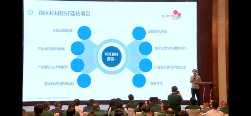 拜耳技術(shù)賦能，加速?gòu)V東荔枝產(chǎn)業(yè)現(xiàn)代化進(jìn)程